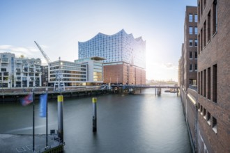 Long exposure of the Elbe Philharmonic Hall with Sandtorhafen and Mahatma Gandhi Bridge in light