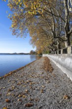 Gravel shore, Lake Constance shore at Mettnaupark near Radolfzell am Lake Constance, with the