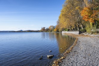 Gravel shore, Lake Constance shore at Mettnaupark near Radolfzell am Lake Constance, with the