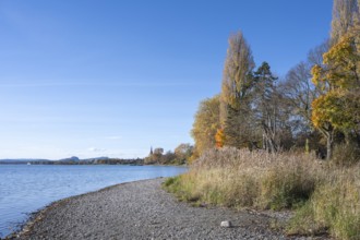 Gravel shore, pebble beach, Lake Constance shore at Mettnaupark near Radolfzell am Lake Constance,