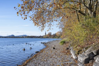 Gravel shore, pebble beach, Lake Constance shore at Mettnaupark near Radolfzell am Lake Constance,