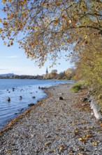 Gravel shore, pebble beach, Lake Constance shore at Mettnaupark near Radolfzell am Lake Constance,
