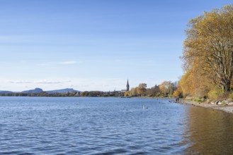 Gravel shore, Lake Constance shore at Mettnaupark near Radolfzell am Lake Constance, surrounded by