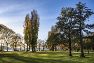 The Mettnaupark, surrounded by autumn vegetation, with the Itres promenade on the banks of Lake