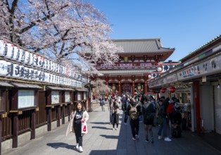 Nakamise-dori shopping street with lanterns, Hozomon Gate of Asakusa Shrine or Senso-ji Temple,