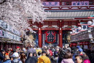 View of numerous visitors on Nakamise-dori shopping street with Hozomon Gate of Asakusa Shrine or