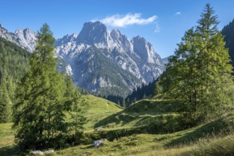 View from Bindalm to the peaks of the Reither Alm with Stadelhorn and Mühlsturzhorn, Berchtesgaden