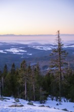 View from Mount Lusen over the hills of the bavarian forest at sunrise in winter, Bavaria, Germany