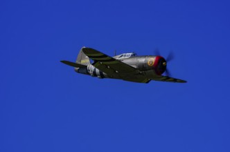An RC model of a Republic P-47 Thunderbolt during a demonstration as part of an air show at the