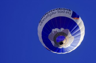 A hot air balloon, registration D-OASF, rises into the air as part of an air show at the