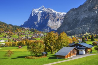Autumn landscape with village overview and Wetterhorn 3690m, Grindelwald, Lütschinental, Bernese