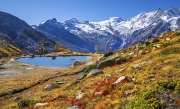 Kreuzbodensee with Alalin 4027 m, Alphubel 420 6 m and Mischabel Group 4545 m in autumn,