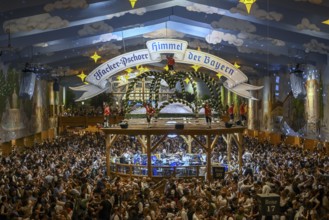 Hacker-Pschorr festival tent, Bavarian sky, interior view, Oktoberfest, Munich, Bavaria, Germany