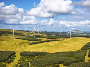 Wind Farm from a drone, Roxburghshire, Roxburgh, Southern Uplands, Scotland, UK