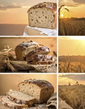 Collage of rustic loaf of whole grain bread, bread on dark rustic wooden table, great variety of