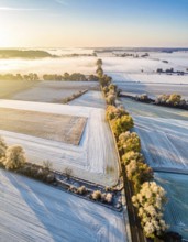 Bird Eye Perspective of Frost Covered Farmland. Seasonal Agricultural Scenery, winter and autumn