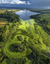 Green algae on the lake. Aerial view of nature, landscape with hills and forest in summer, cloudy