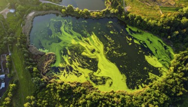 Green algae on the lake. Aerial view of nature, landscape with hills and forest in summer, cloudy