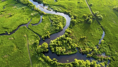Ecology and environment concept. Green wilderness nature from above. Aerial view on meandering