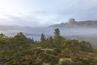 Magical morning fog on Steigtindvatnet in front of the majestic Steigtinden in Norway near Bodø