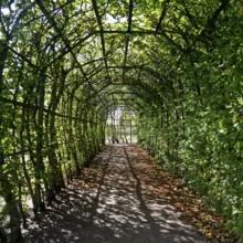 Pergola in Rheinsberg Castle Park, Ruppiner Land, Brandenburg, Germany