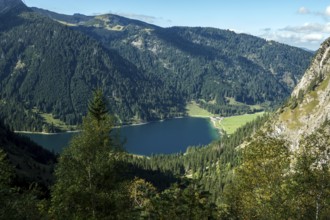 View of Vilsalpsee, Allgäu Alps, Tannheim, Tannheimer Tal, Tyrol, Austria