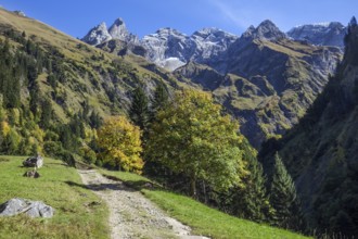 Hiking trail in Bacherloch Valley, back mountains of the Allgäu Alps with Trettachspitze,