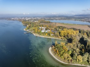 Aerial view of the Mettnau peninsula, surrounded by autumn vegetation, in western Lake Constance