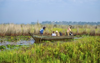 Boat with tourists in Mabamba Swamp, Tourists, Mabamba Swamp, Lake Victoria, Uganda
