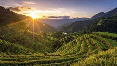 Early morning light bathes Philippines rice terraces cascading down mountain slopes, beautiful