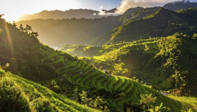 Early morning light bathes Philippines rice terraces cascading down mountain slopes, beautiful