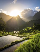 Early morning light bathes Philippines rice terraces cascading down mountain slopes, beautiful