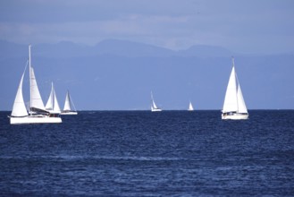 Lake Constance with sailboats, Baden-Württemberg, summer, Germany