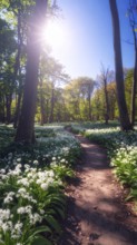 A tranquil forest path lined with white flowers, surrounded by tall trees and bathed in soft