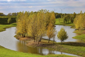 Wesel, Lower Rhine, North Rhine-Westphalia, Germany - autumn on the Lippe, trees with colorful