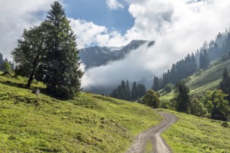 Hiking trail in the Dietersbachtal from Gerstruben to Alpe Dietersbach, Nebelschwanden hang in the