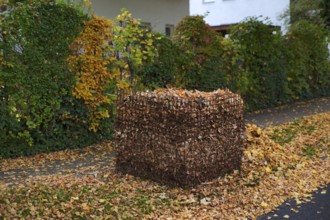 Public collection container, leaf basket, steel mesh compost basket, for collecting autumn leaves,