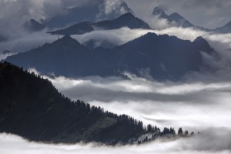 View from the Nebelhorn summit to mountains of the Allgäu Alps, mountains rising from fog in the