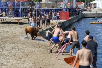 Bous a la Mar Fair, in English Bulls in the Sea, Bullfighting, Javea or Xàbia, Alicante Province,