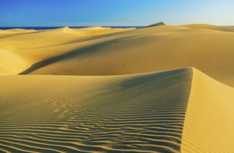 Sand dunes, Maspalomas, Playa del Ingles, Gran Canaria, Canary Islands, Spain
