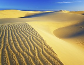 Sand dunes, Maspalomas, Playa del Ingles, Gran Canaria, Canary Islands, Spain