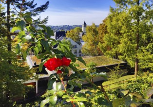 Konrad Adenauer House, view from the garden of St. Mary's Church, Stiftung