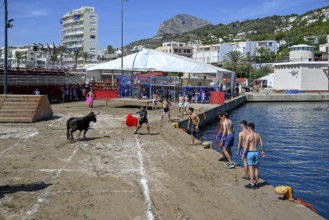 Bous a la Mar Fair, in English Bulls in the Sea, Bullfighting, Javea or Xàbia, Alicante Province,