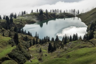 Seealpsee, Allgäu Alps, Nebelhorn, Oberstdorf, Oberallgäu, Allgäu, Bavaria, Germany