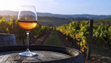A glass of 10-year-old tawny wine placed on a barrel in a vineyard restaurant, vineyard landscape