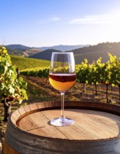 A glass of 10-year-old tawny wine placed on a barrel in a vineyard restaurant, vineyard landscape