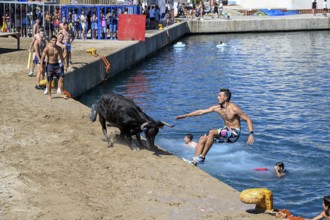Bous a la Mar Fair, in English Bulls in the Sea, Bullfighting, Javea or Xàbia, Alicante Province,