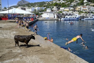 Bous a la Mar Fair, in English Bulls in the Sea, Bullfighting, Javea or Xàbia, Alicante Province,