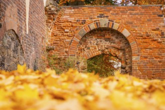 Altzella Abbey is a former Cistercian abbey west of the town of Nossen. In the Middle Ages, it was
