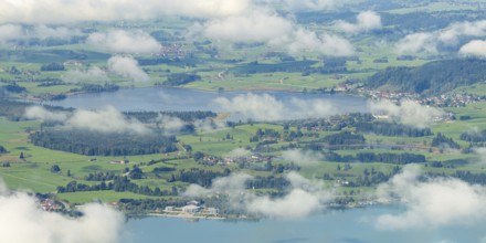 Panorama from Tegelberg, 1881m, of Hopfensee, in front of Lake Forggensee, Ostallgäu, Bavaria,